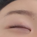 블루밍로사 | 성신여대 속눈썹 | 블루밍로사 뷰러펌 후기(+할인정보)