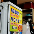 독도반점