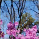 (중급) 성인영어회화 이미지