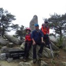 진자농장 이미지