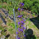 솔치농장 이미지