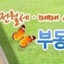 반포정공인중개사사무소 이미지