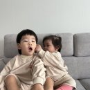 가을 | 콘 26가을 후기