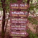 강원평창농원 이미지