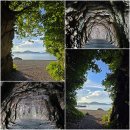 경남 거제시＜가라산/망산＞에서.. 거제산타GO 11대 명산 종주인증 다섯번째 이야기~.. 이미지