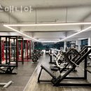 헬스매니아 이미지