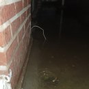 원지 할인마트 이미지