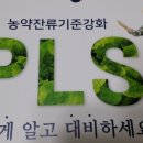 피엘에스 (PLS)