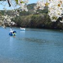 남이섬 봄펜션 이미지