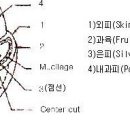 2007년 시행 제 4회 바리스타(2급) 필기시험 이미지