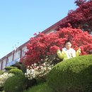 생영초등학교 이미지