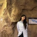 미주컷