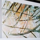 서울잠전초등학교 | 잠실두피케어 숲칼프 잠실교육센터 지루성두피관리 후기