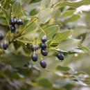 조은자원 이미지