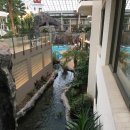 웨스턴라이트(Western Light) 이미지