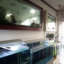 비즈아쿠아수족관 이미지