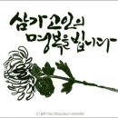 중동로 361 Daum카페