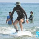 코코넛19 이미지