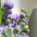 하경농장 이미지