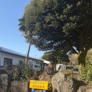 조천 제방화장실 1 | 제주 조천 맛집｜전복죽·보말칼국수 맛집 금능이모네