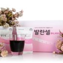 셀다이어트