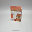 데일리 카 케어 | 트러블케어 에이솔루션 어성초 트러블 토너 패드 꽃카에디션 팩토 추천