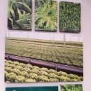 김재철농장 이미지