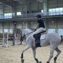 장수승마장 이미지