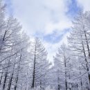 서울와이즈요양병원 이미지