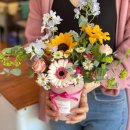 사진촬영취미반 이미지