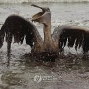 (주)몸부림 이미지