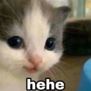 혼저옵서예 이미지