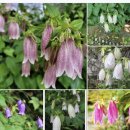 꿈꾸는 마을도서관 도토리 이미지