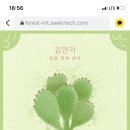 은석캠핑장 이미지