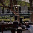 누보코리아 이미지