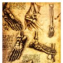 건강에진심 이미지