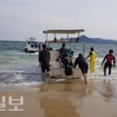 고래불레저