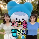 피코