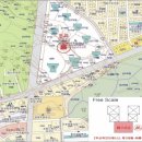 새천년대로 이미지