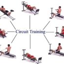 스텝복싱(Step Boxing) 이미지