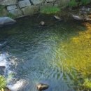 자라무인텔 이미지