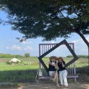 B&B 아그로 이미지