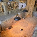 작은동물원수족관 이미지