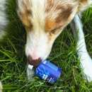 현메디케어 | 기호성 좋은 영양제 메디퍼피 액티브