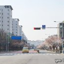 예스 공인중개사 사무소 이미지