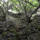 제주 4·3 수악주둔소 이미지