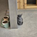 집사의하루 노원점 이미지