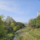 흥덕3교 이미지