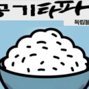 식구인터내셔널