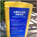 포항 환호공원 스페이스워크 직접 걸어본 후기 짜릿하고 아찔한 경험